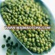 GREEN MUNG BEANS