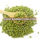 Favorable price for new crop green mung beans