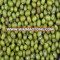 100% Best Quality India Origin Green Grem / Mung Beans